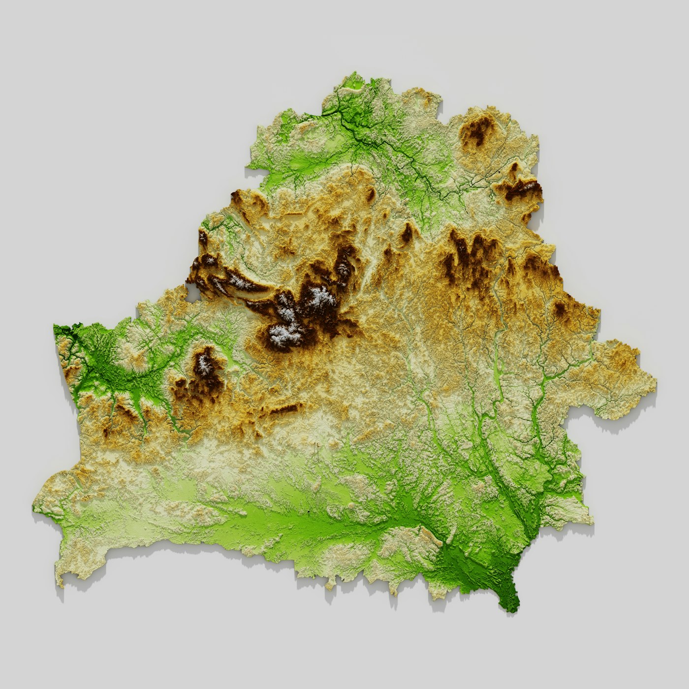 Biomass, mapped.